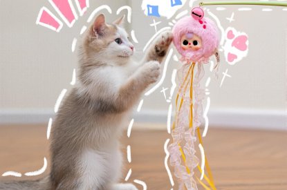 The happiness of a kitten makes a BABYTHREE play with a cat stick to open